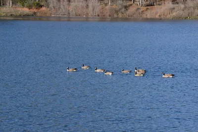 DSC_1154 (Large).JPG